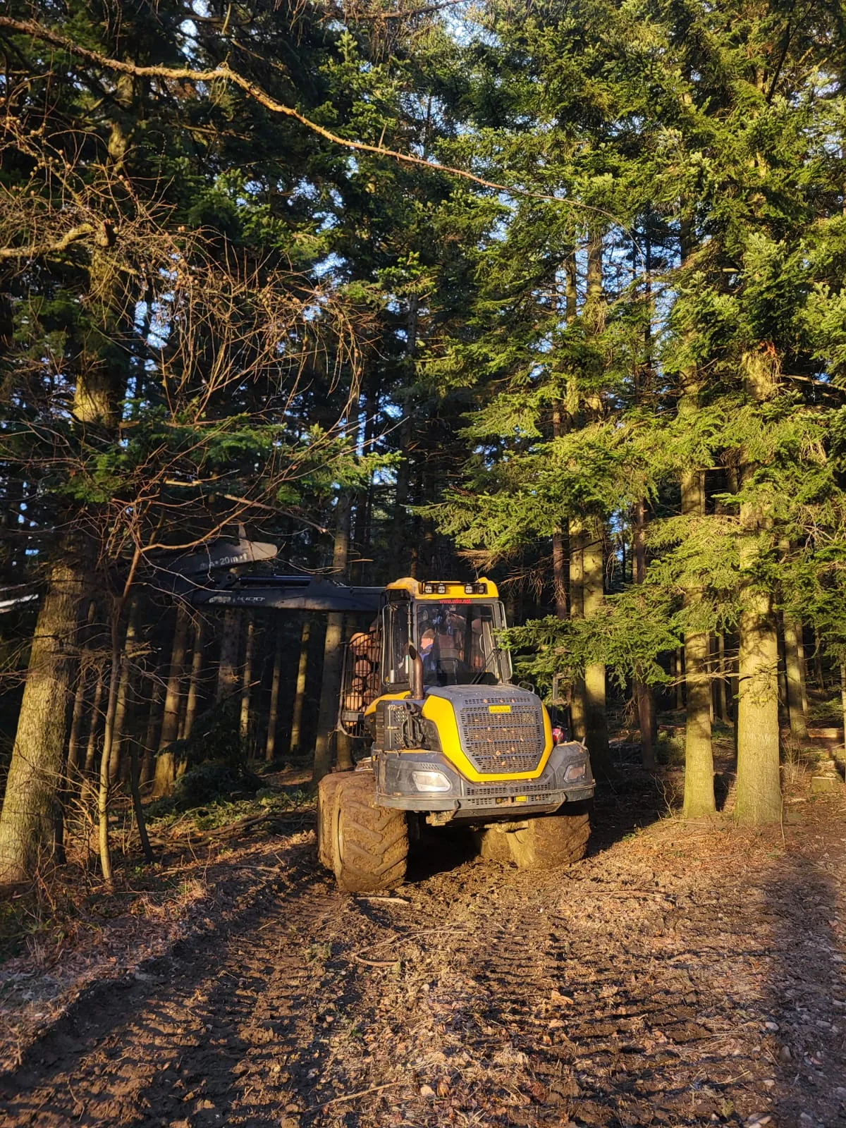 Quad na leśnej ścieżce