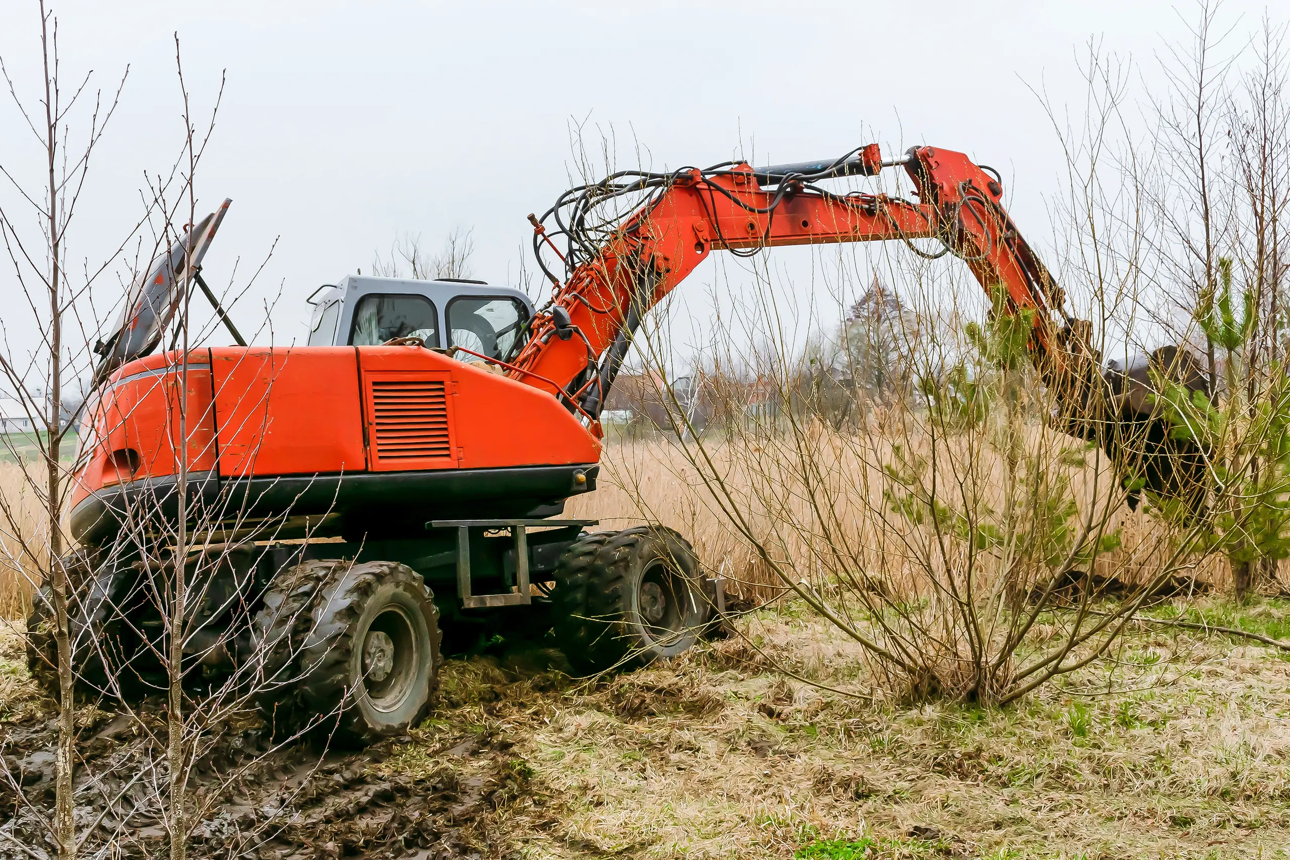 Harvester wykonujący karczowanie działki w terenie zarośniętym młodymi drzewkami